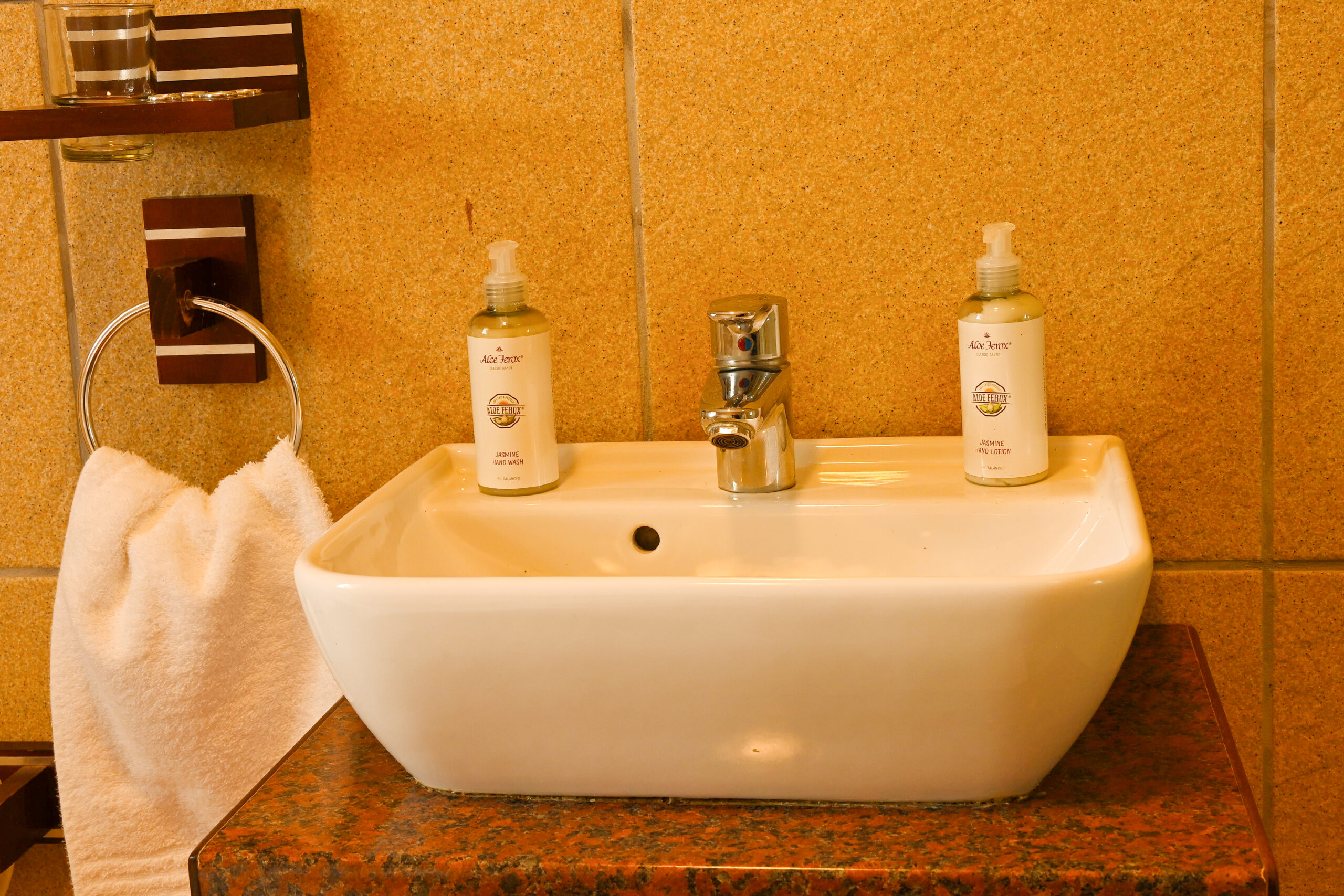 Iris Room View 11